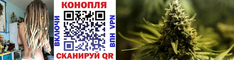 Конопля сатива  продажа наркотиков  Заозёрный 